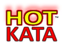 Hot Kata Heated Karate MMA Yoga Flow Classes